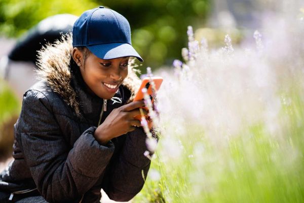 Smartphone Photography Tour in Hahndorf