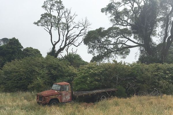 Southern Highlands NSW Photography course| Focus10 |  7hrs