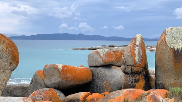 Beginners Photography Course - Hobart | Focus 10 | 2 days