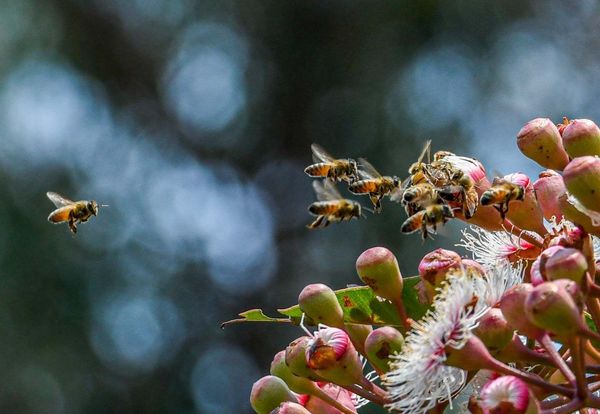 Master Digital Photography In A Day Private Workshop