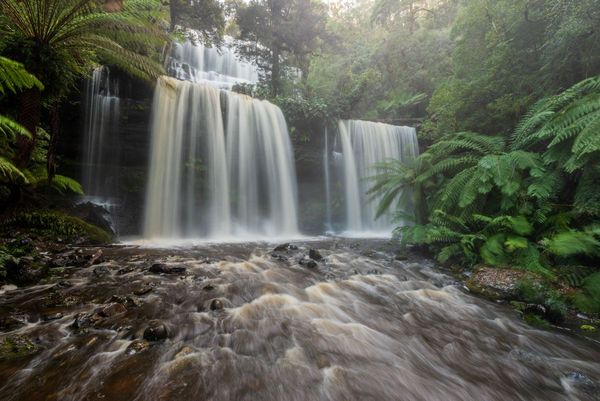 Mt Field & Styx Valley