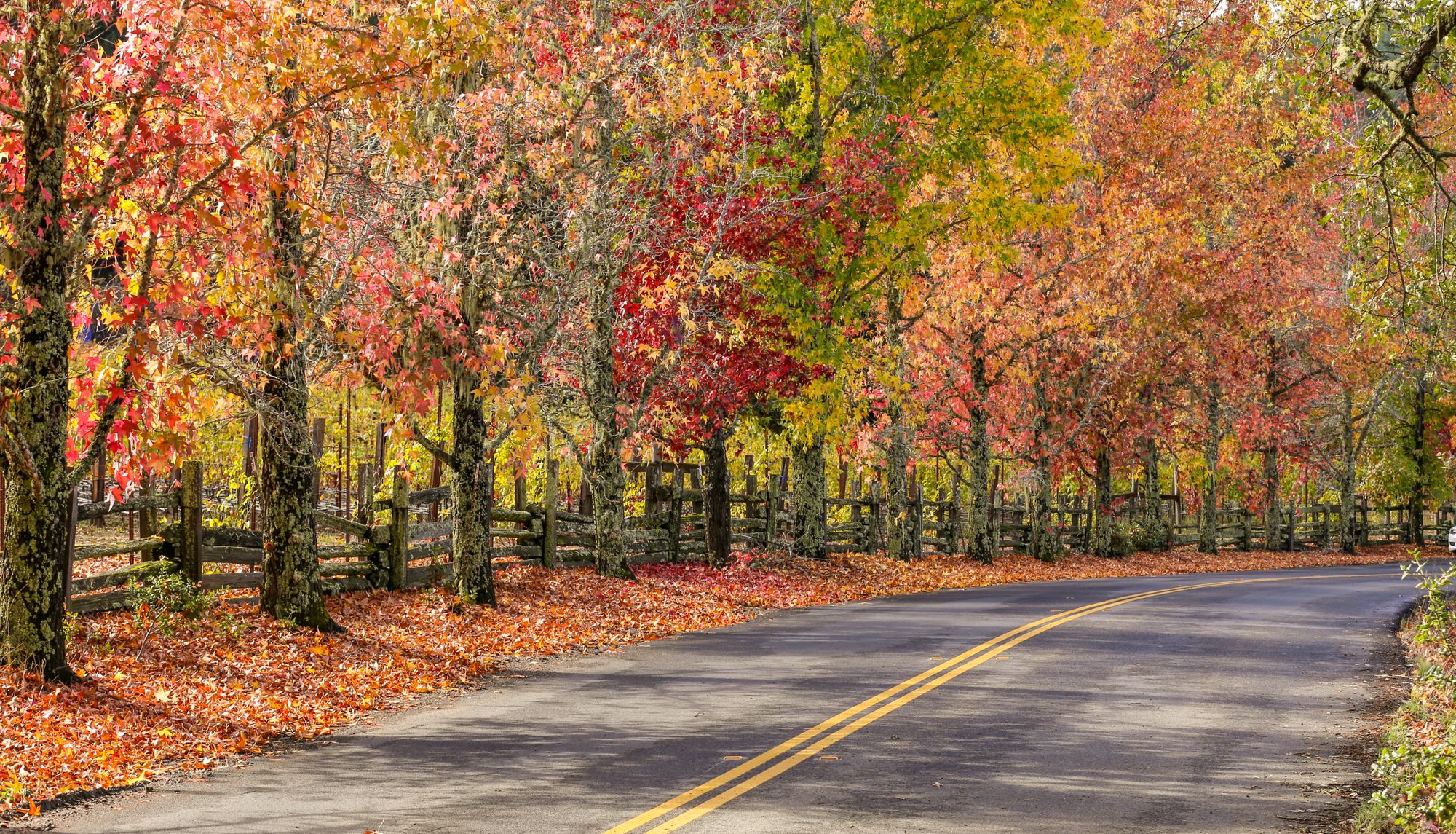 Bike Path in Michigan in the fall