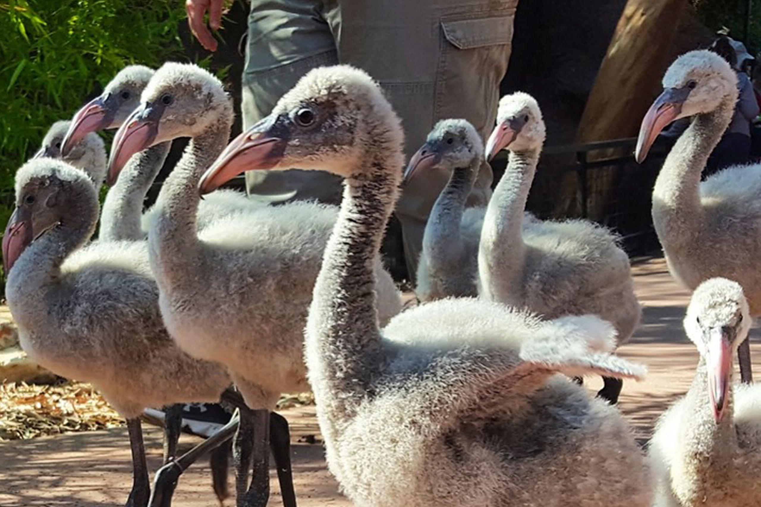 Aspen Square Blog Post