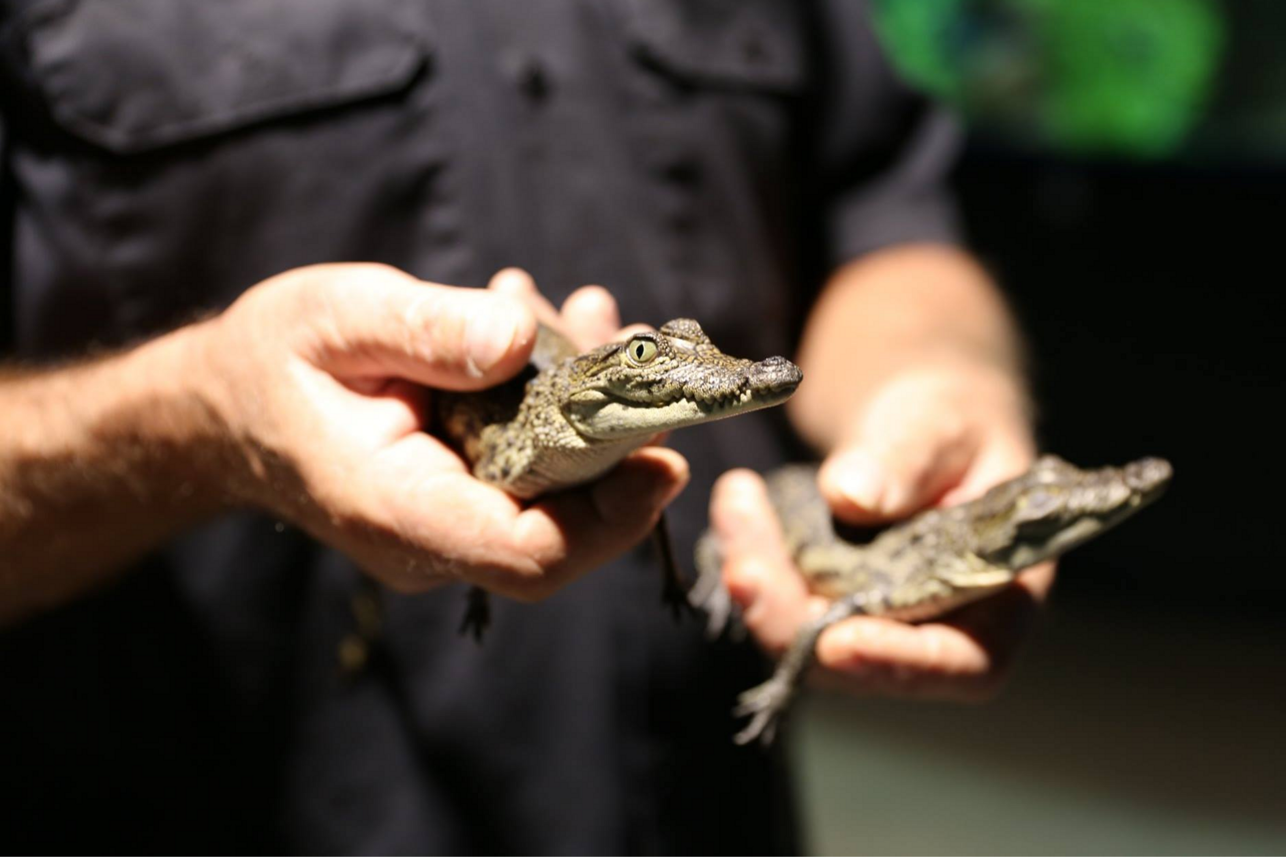 Aspen Square Management Blog Post