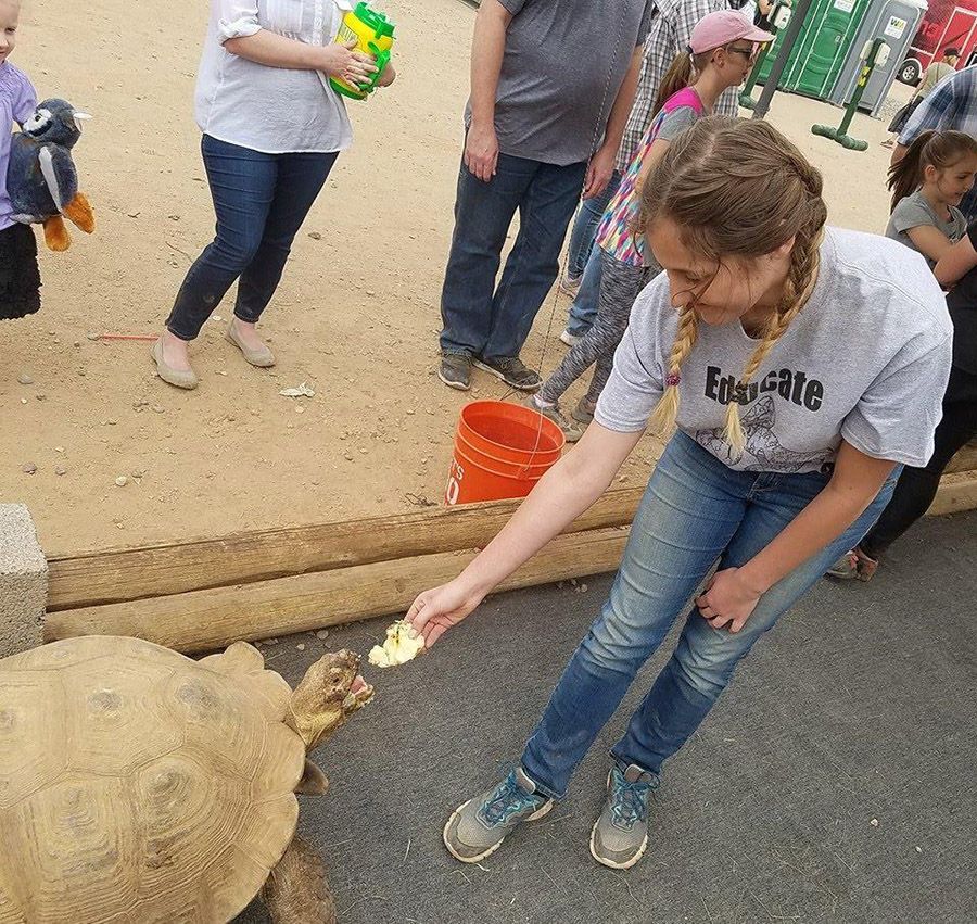 Teenager feeding tortoise 