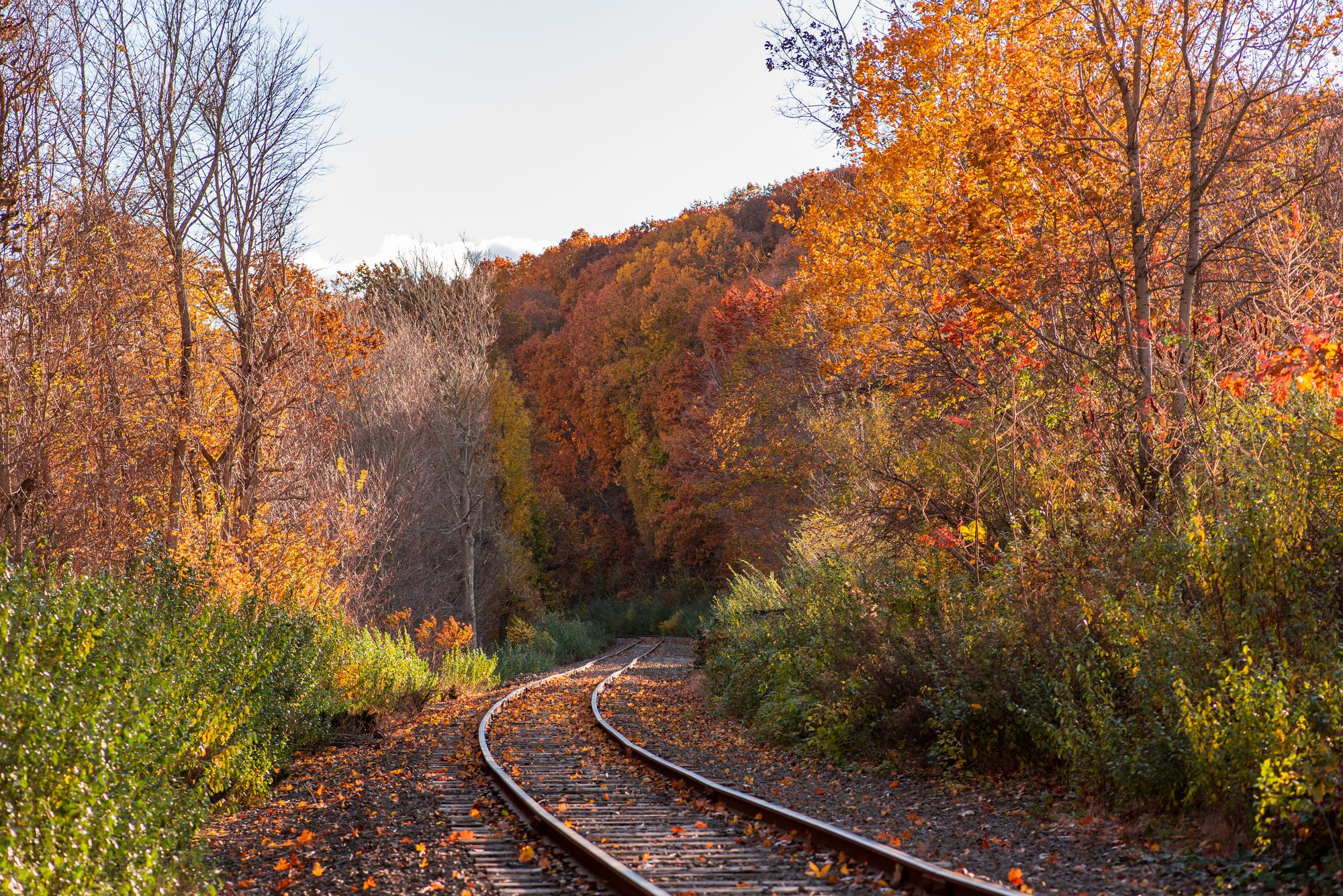 Michigan Railroad in the fall