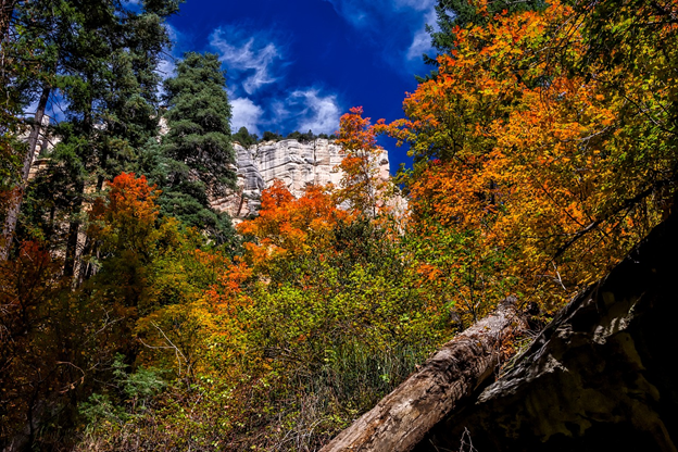 Arizona fall hiking