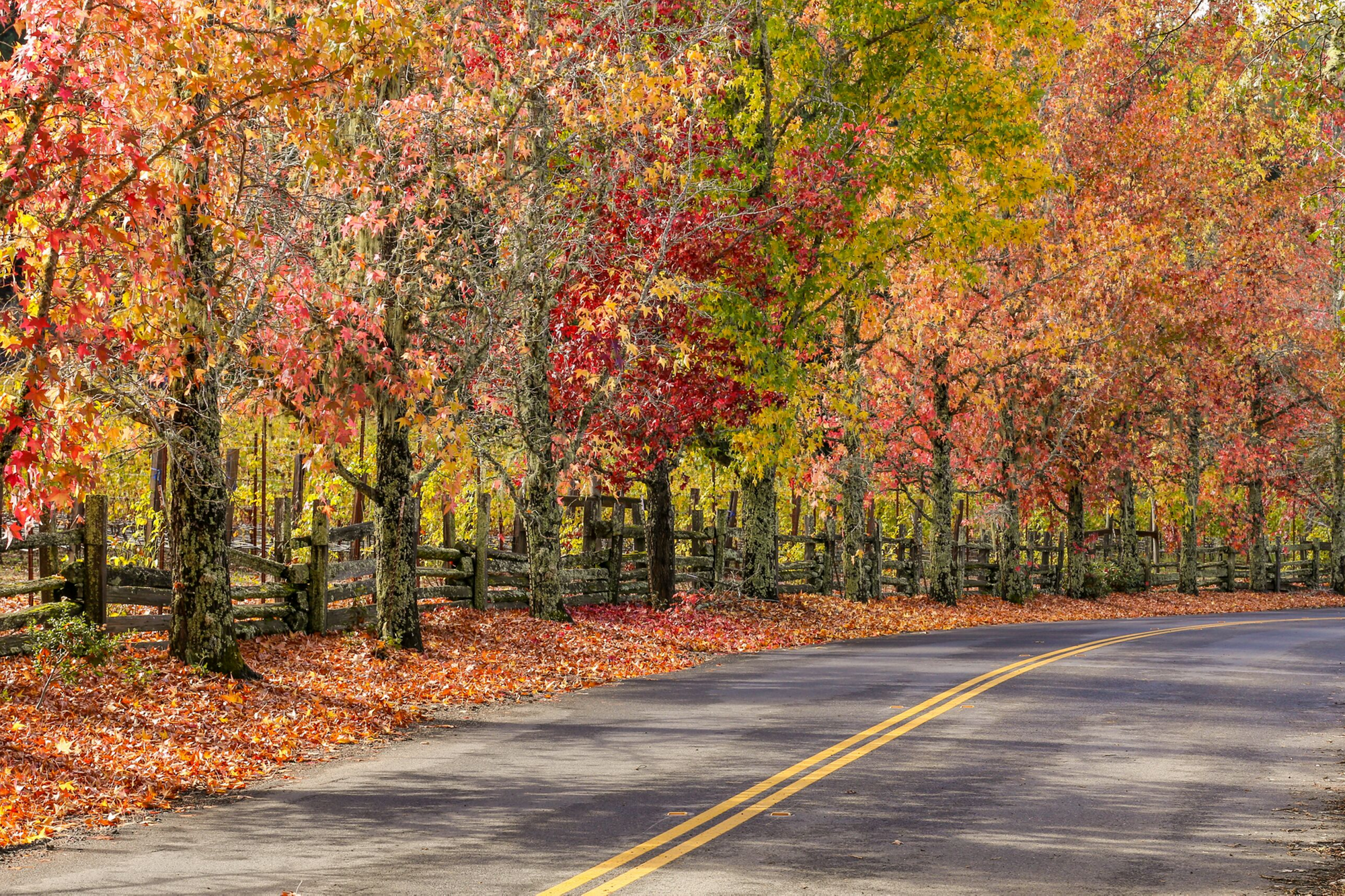 Aspen Square Blog Post