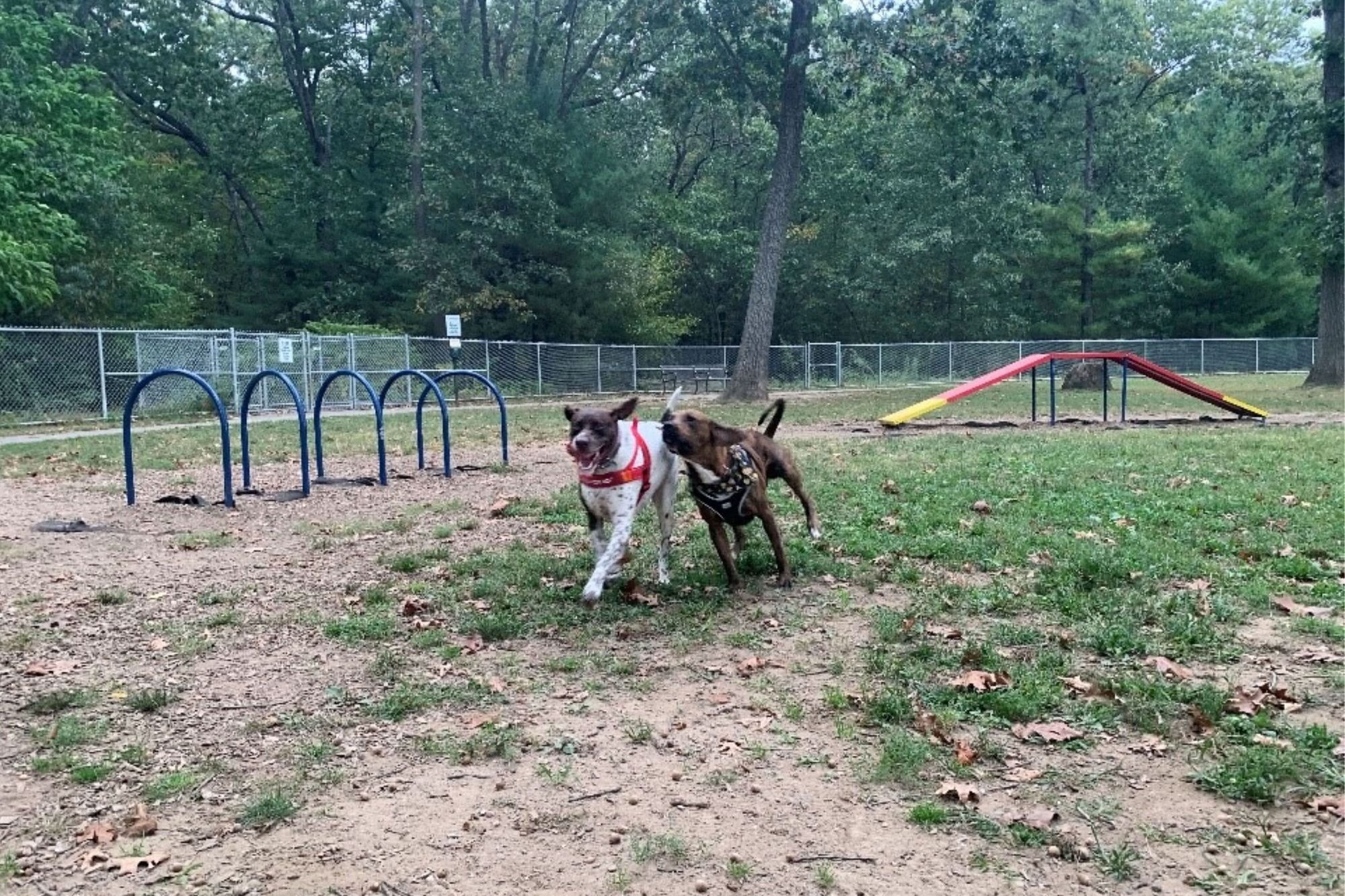 Aspen Square Blog Post