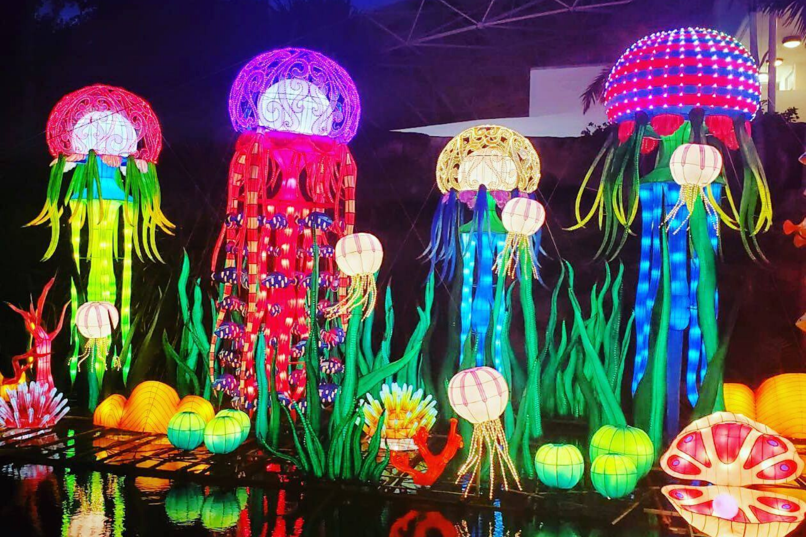 Aspen Square Blog Post