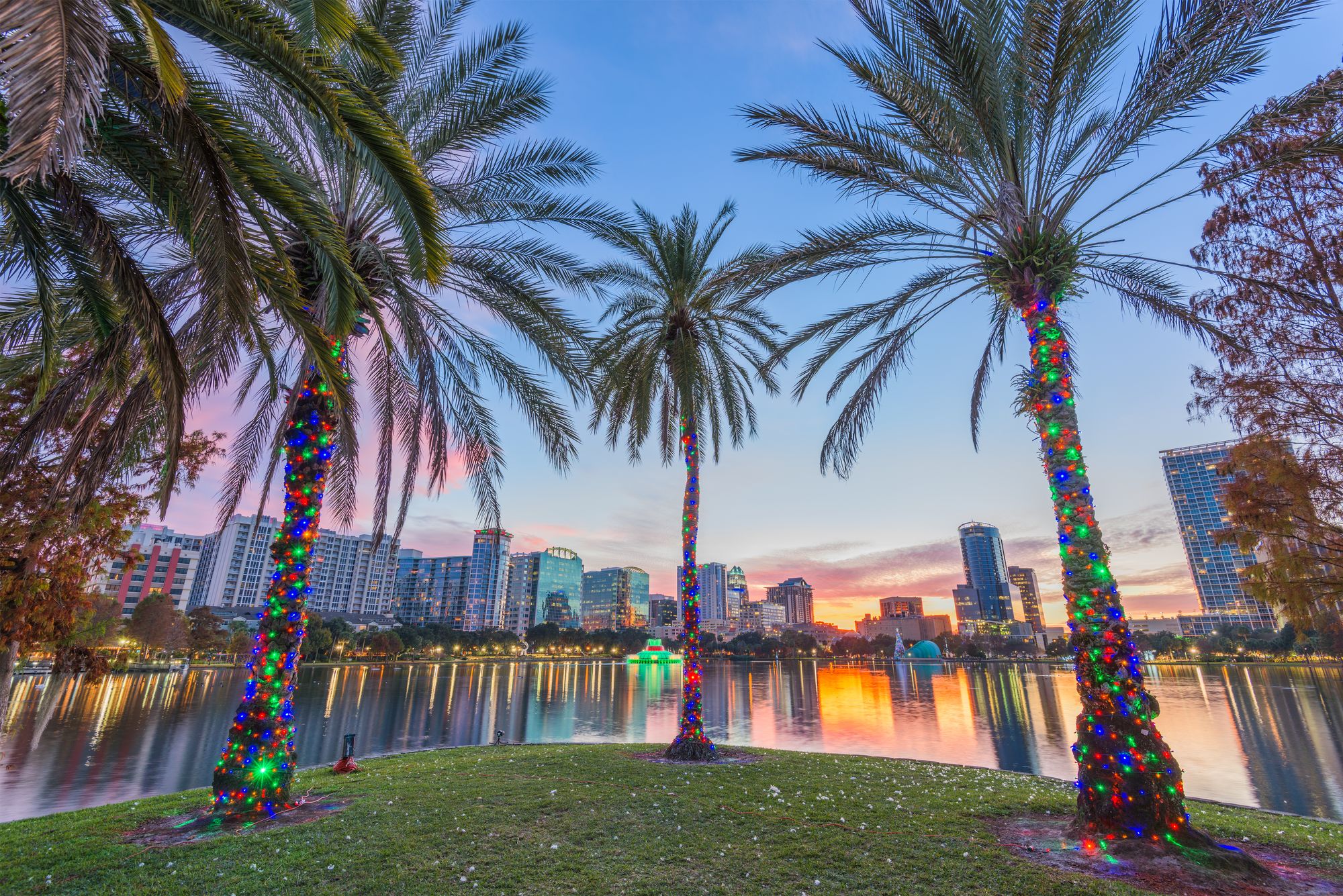 Florida palm trees decorated for Christmas