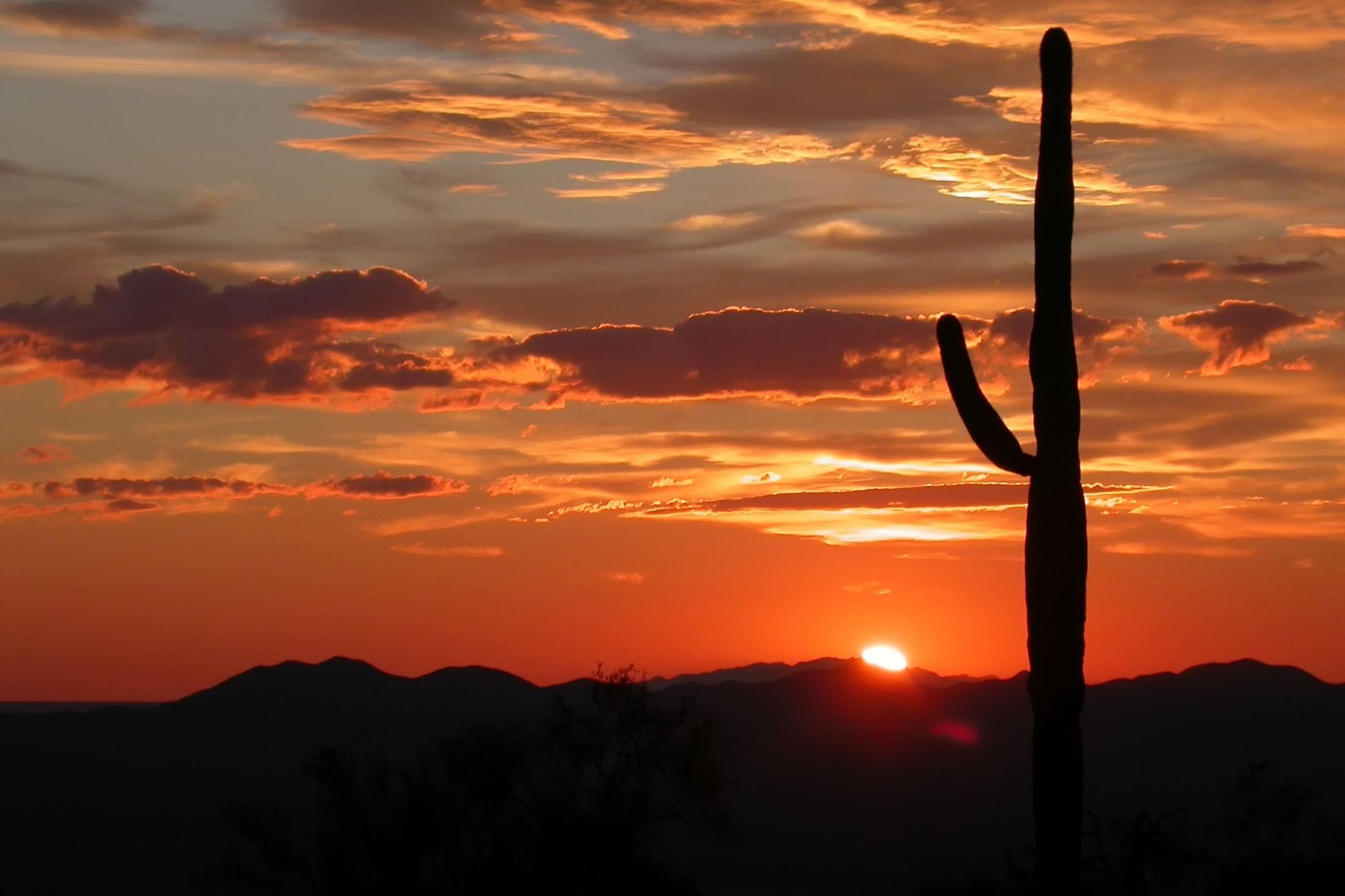 Aspen Square Blog Post