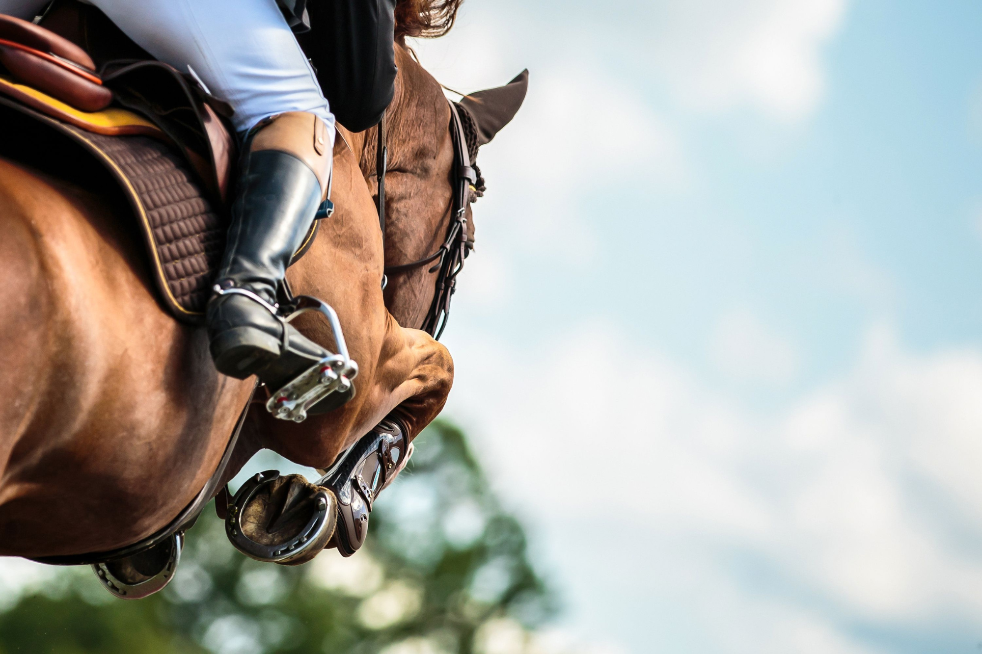 An up-close image of a jockey on a thoroughbred horse in a gallop.