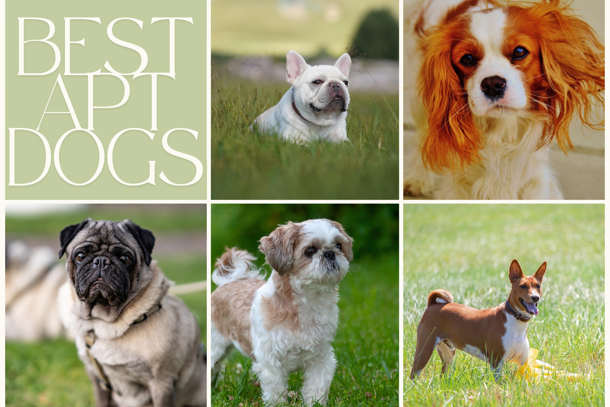 Aspen Square Blog Post