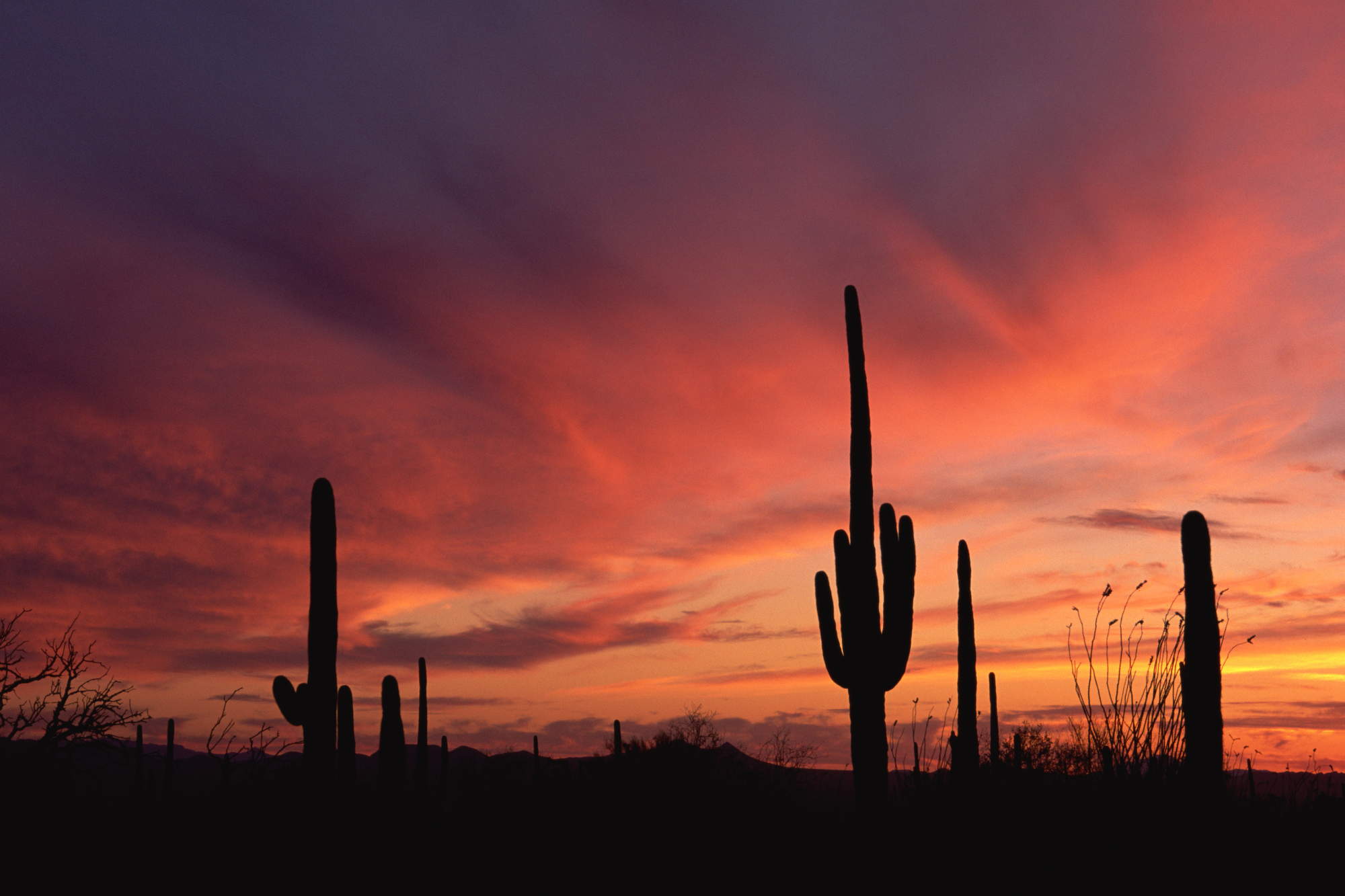 Aspen Square Management Blog Post