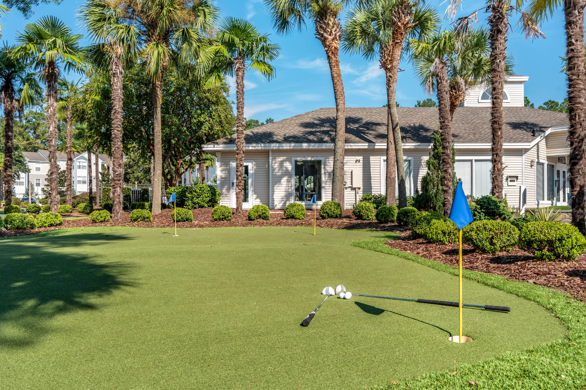 A putting green with small blue flags and palm trees in the back ground