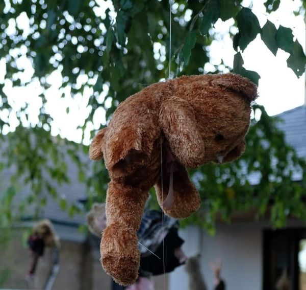 What's happening in November