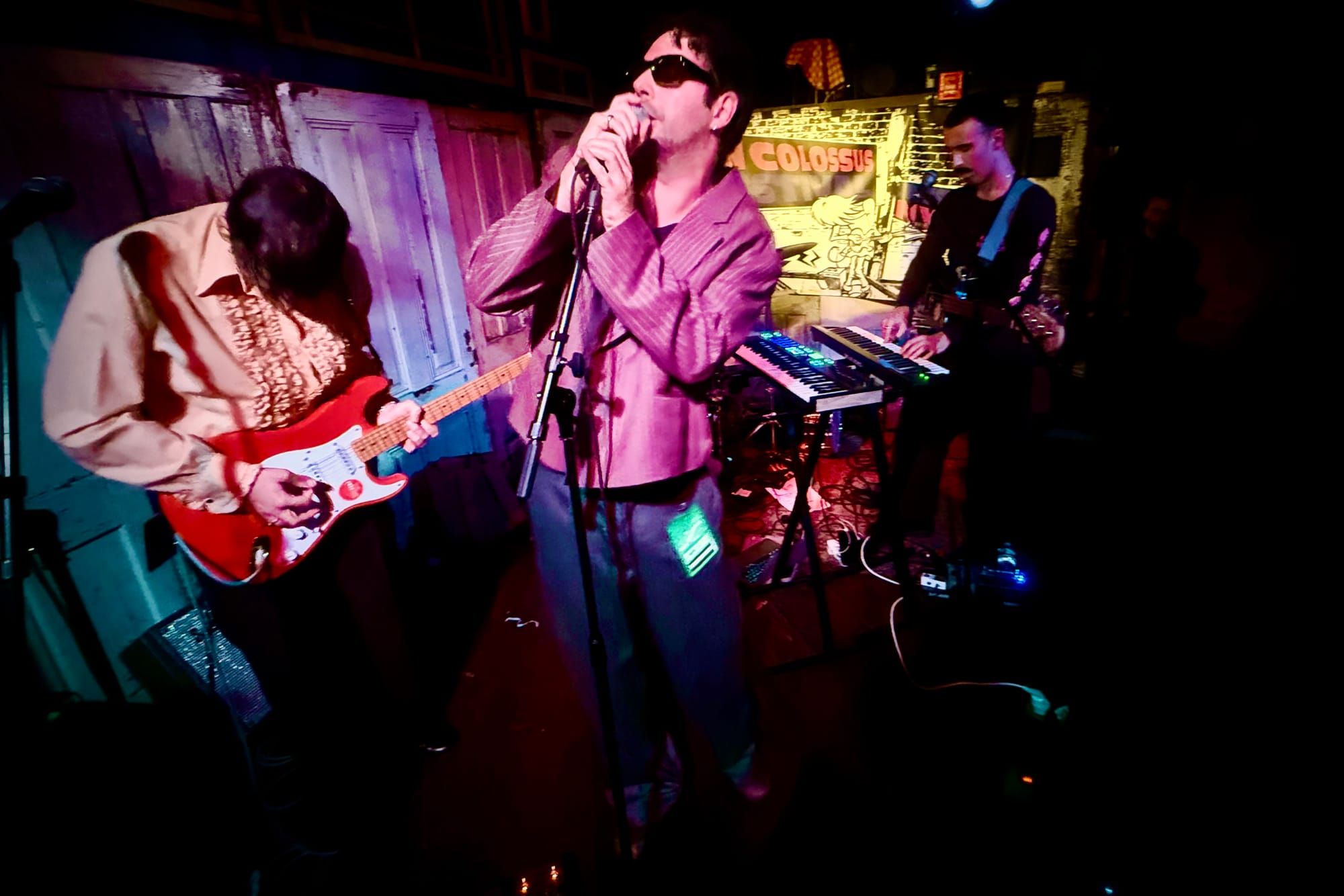 Hause Plants - Do It Like This