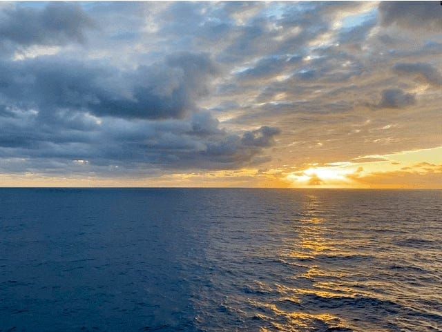 Thank You for the Music