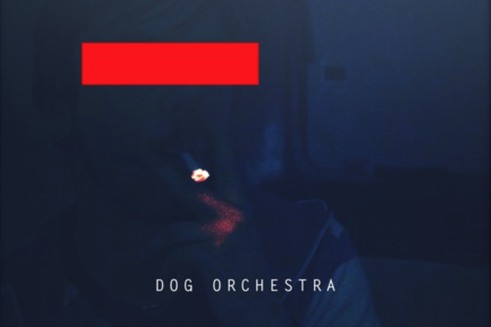 NEW TRACK: Dog Orchestra - Hotel