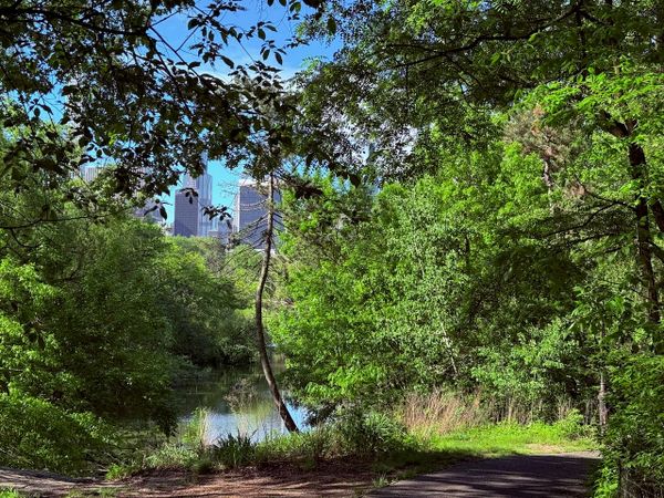 Let's Go See Some New Music!