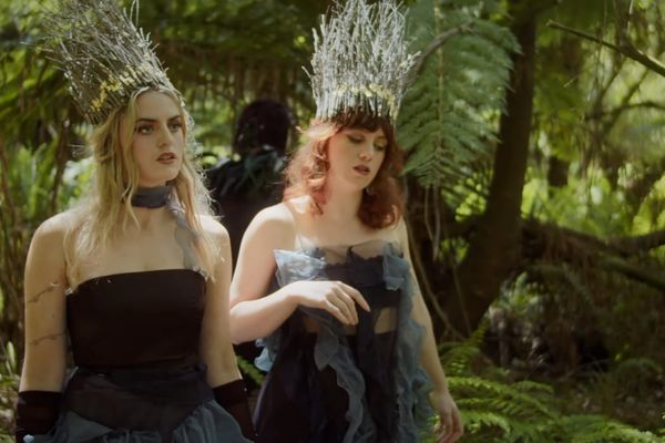 Charm of Finches - Meteor