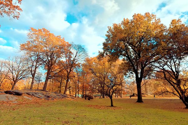 Into the Season: Music, Movies, and a Dash of Dublin