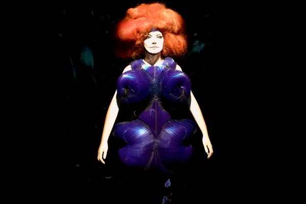 Where Is Björk Going Next?