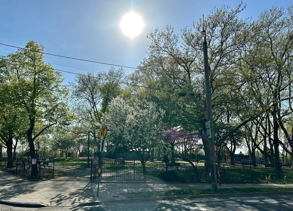 May the Color of Spring Bring You Happiness