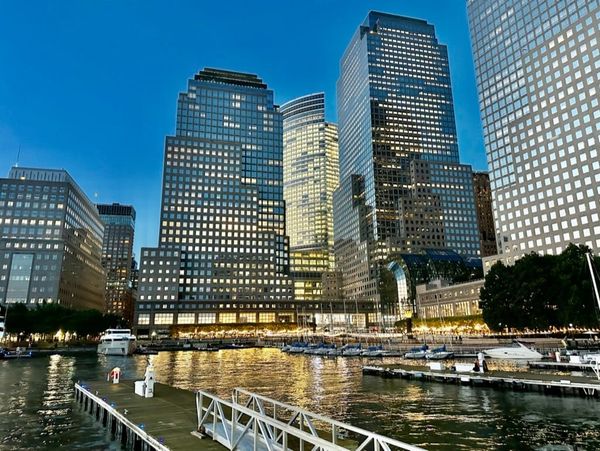 An Electronic Gem: Soft Landing