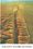 The San Andreas Fault