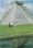 Chichen Itza