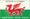 Rugby Players in Wales