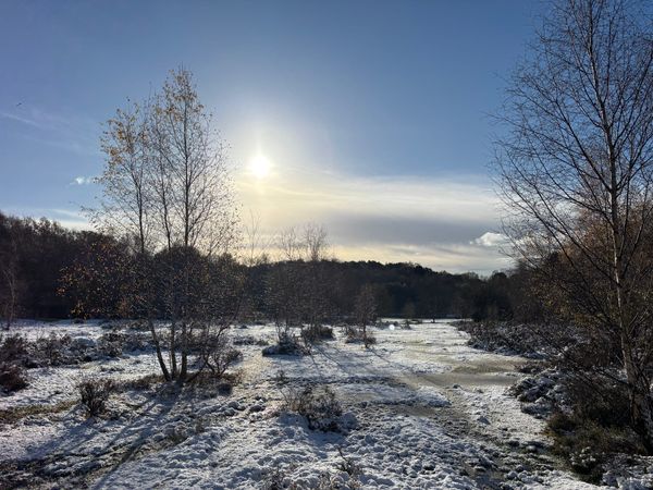Life Update - November 2024