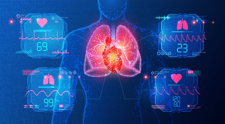 La variabilité de la fréquence cardiaque
