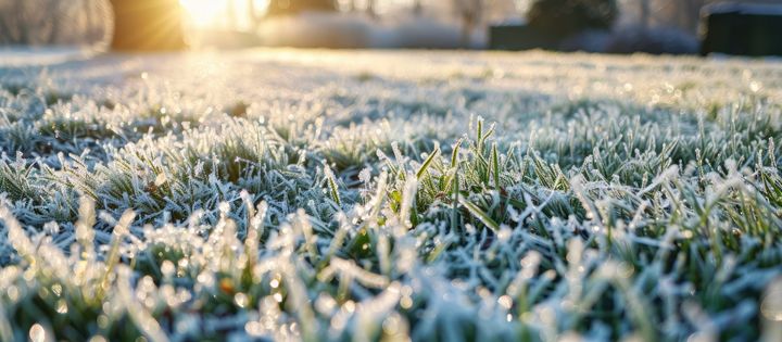 Impact du froid sur la performance et la santé des footballeurs