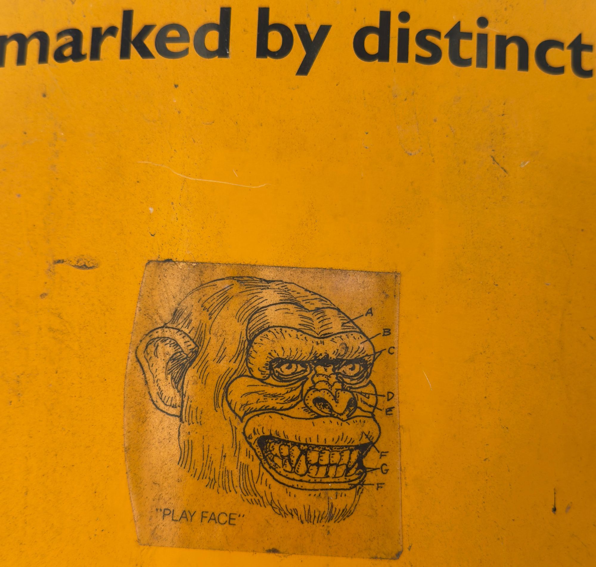 Photos of August 2025