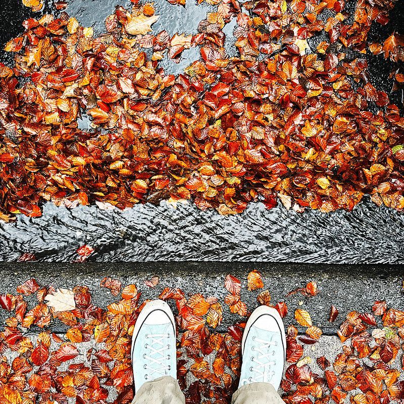 Photos of October 2025