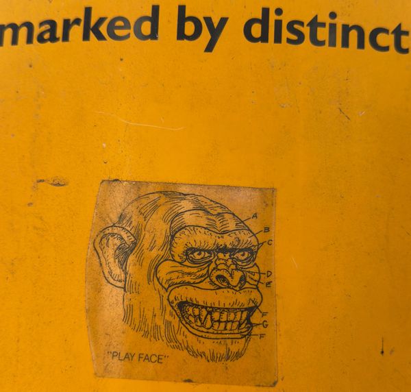 Photos of August 2025