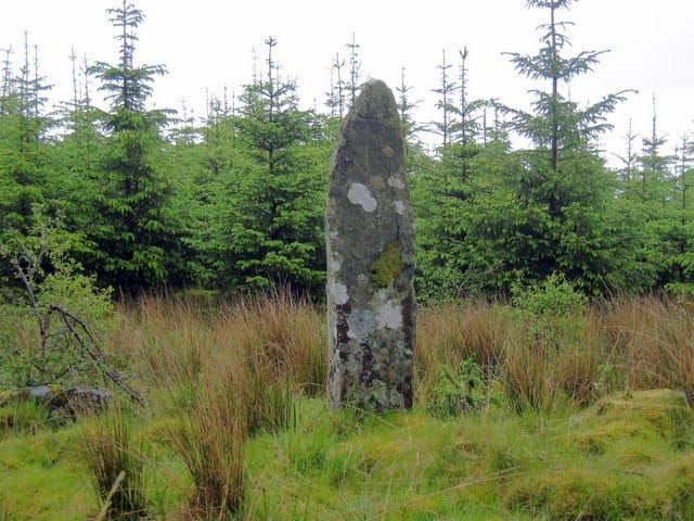 "Standing Stone hidden in depths of Sannaig Forest"
