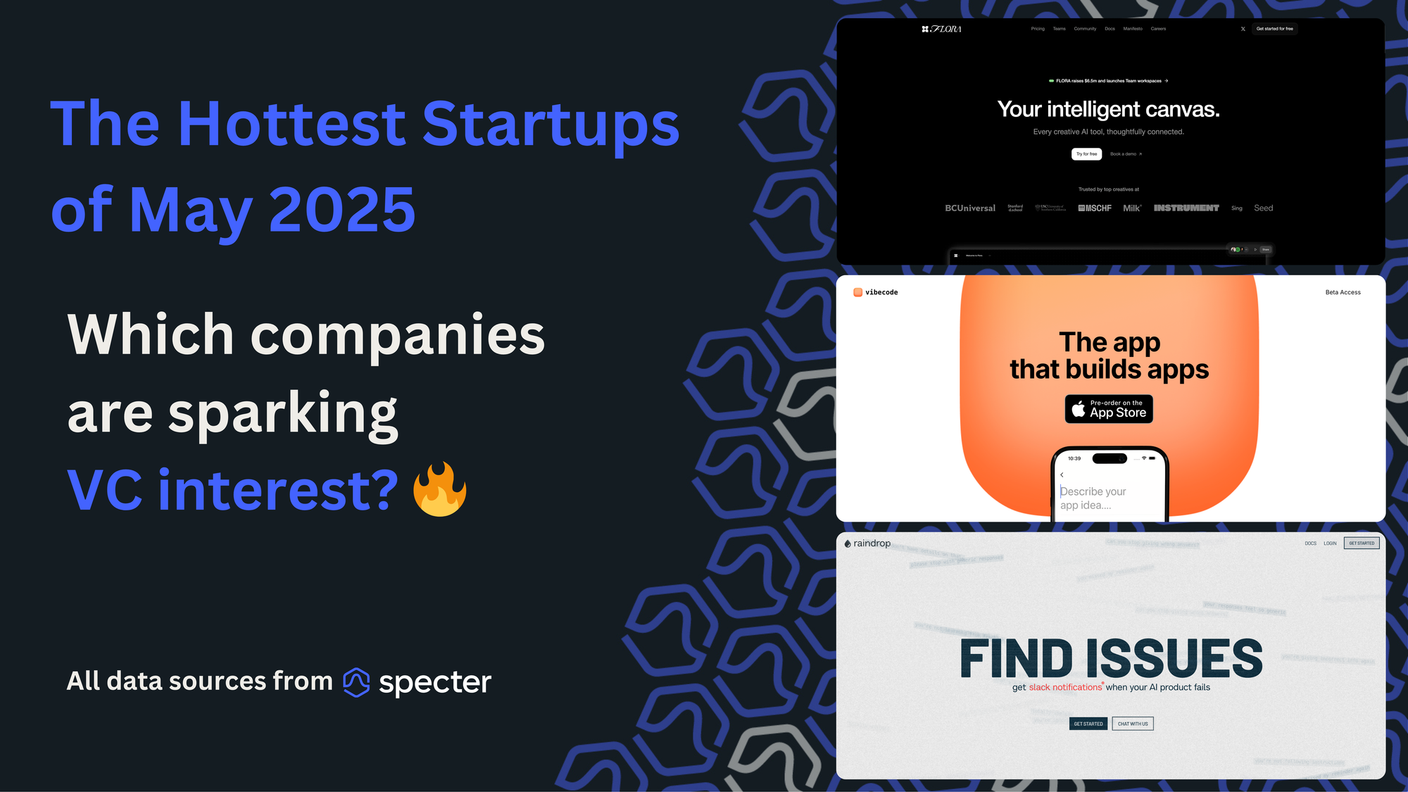 Hottest Startups - May 2025 🔥