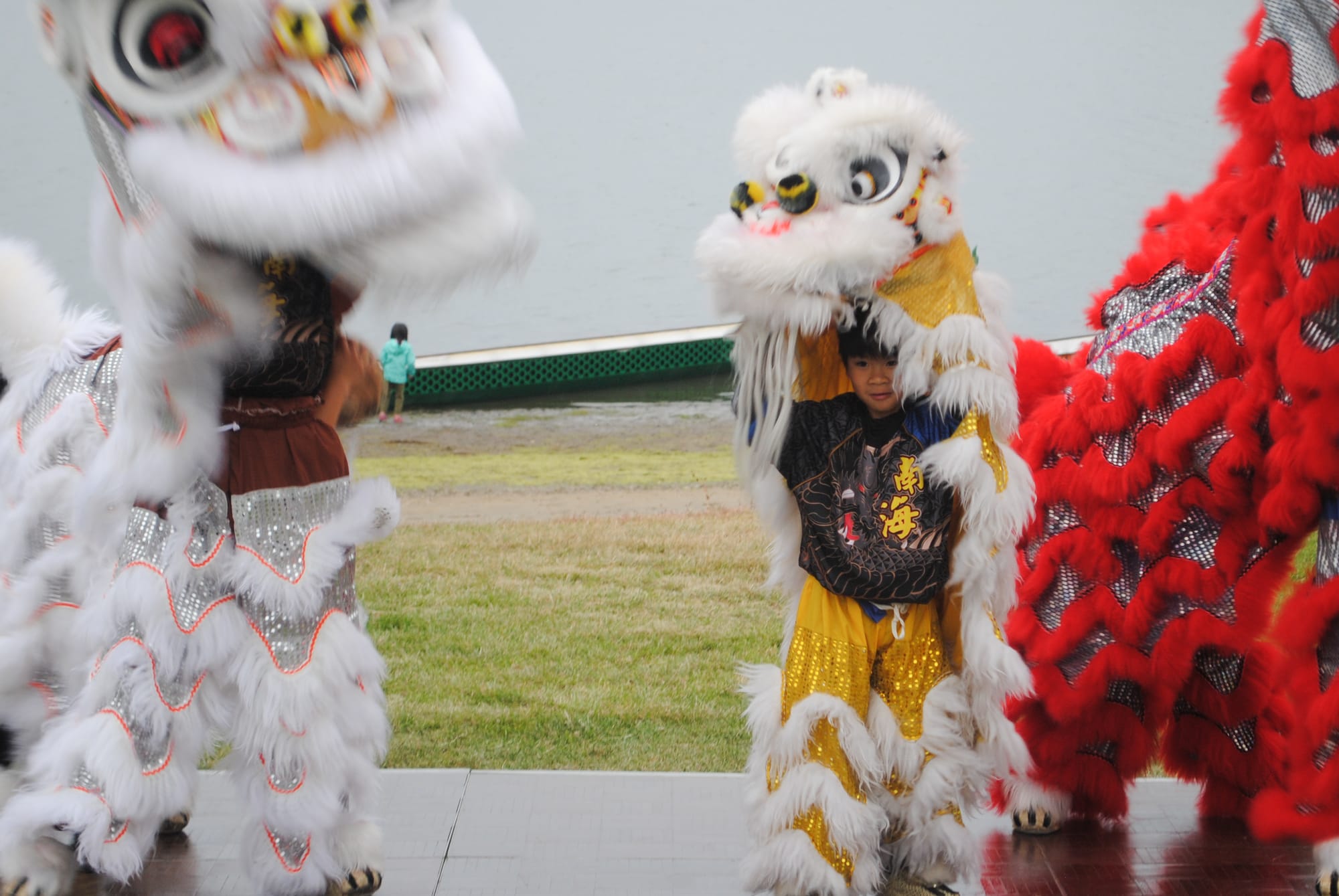 A young boy in a white lion dance costume stands between two larger white and red lion dancers