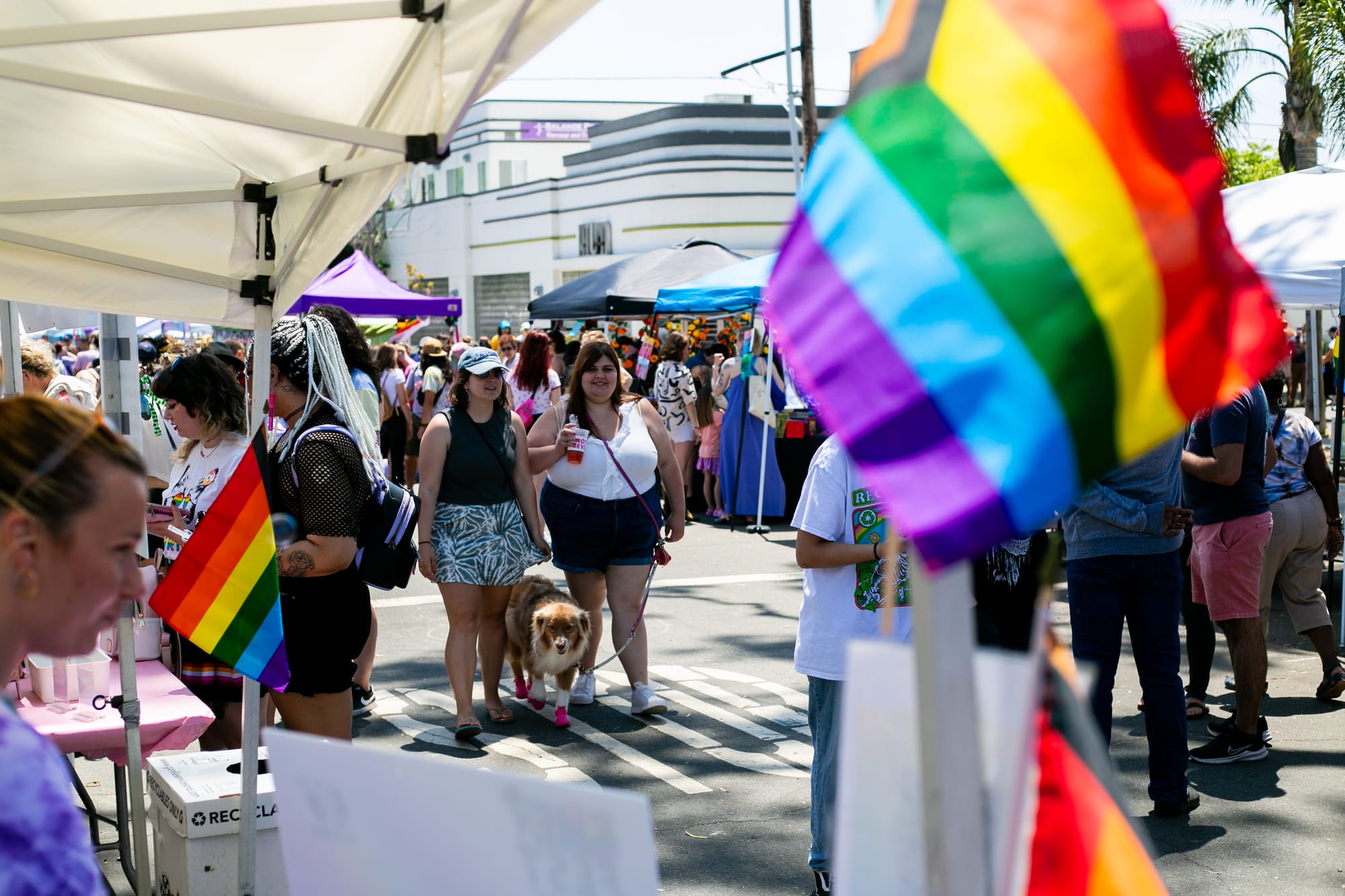 People walk through an outdoor street fair with vendors and pride flags in the image