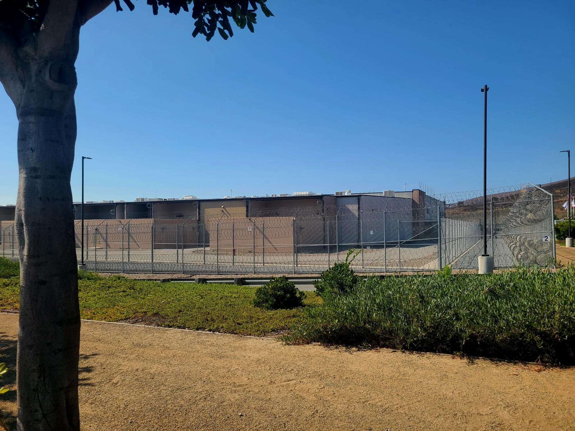 Picture of a prison like facility behind a fence next to a tree