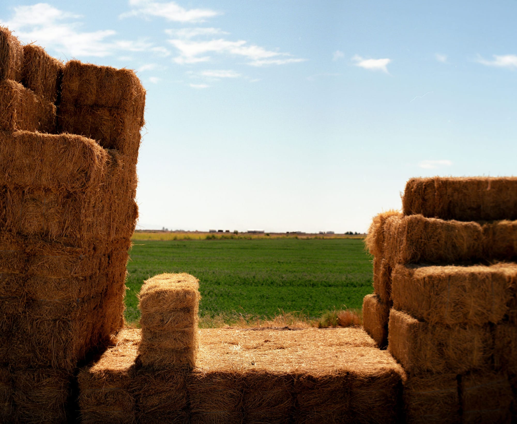 golden hay sits in front of a green field