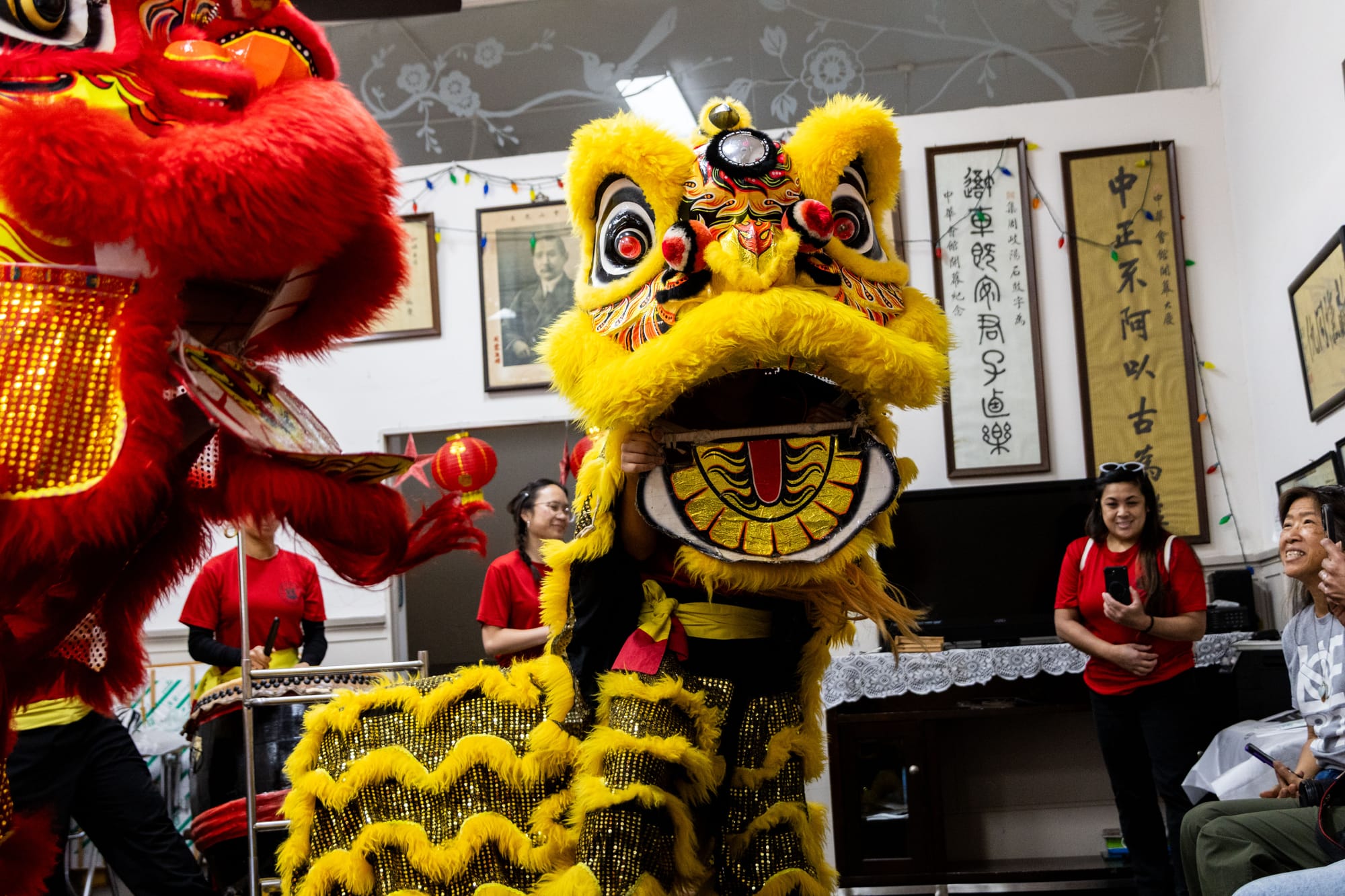 Lion dancers perform for a small crowd inside a room with drummers behind them