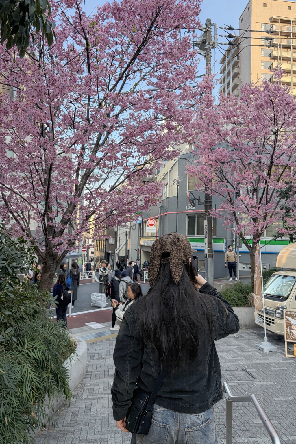 Emma Chen stands on a city staircase beneath cherry blossom trees while visiting Japan.