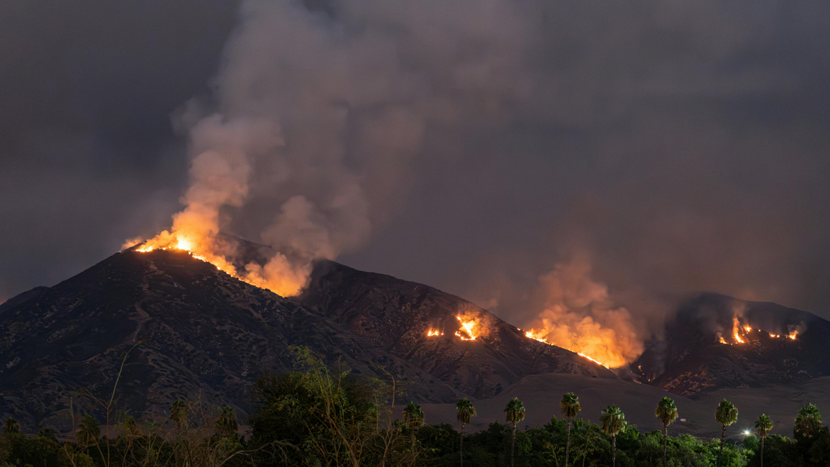 picture of wildfire on a mountain in the evening behind a line of palm trees