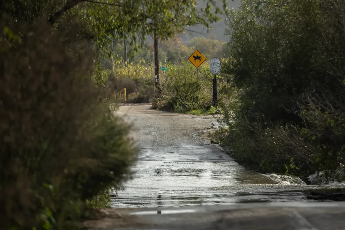 A road with water running across it and green vegetation lining both sides of it