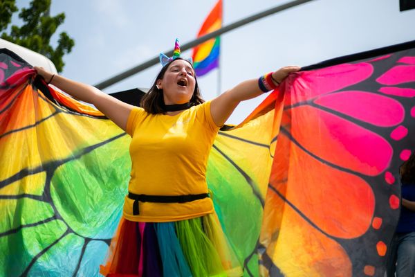a person wearing a rainbow tutu fans out a rainbow butterfly cape in front of the pride flag